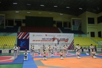 Trình diễn Taekwondo