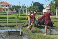 Du khách trải nghiệm du lịch nông thôn tại Quảng Nam. Ảnh: Q.T