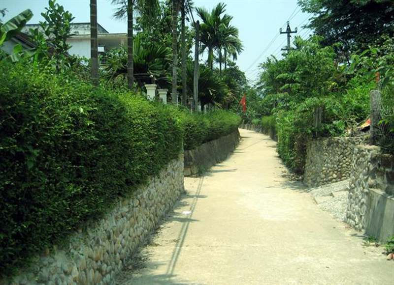 Đường làng xanh mướt ở Đại Bìnhr