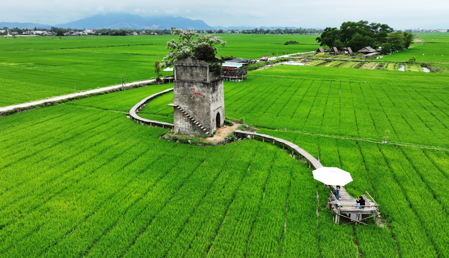  Lò gạch cũ ở xã Duy Vinh (huyện Duy Xuyên, tỉnh Quảng Nam) là điểm đến du lịch xanh thu hút du khách đến tham quan và trải nghiệm