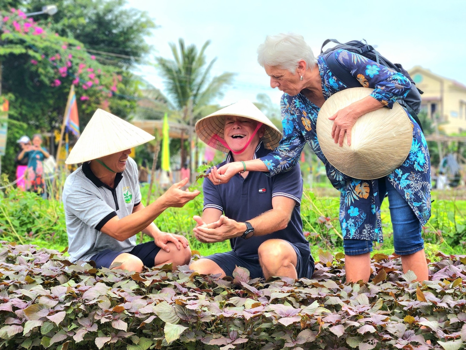 Du khách trải nghiệm tại làng rau Trà Quế